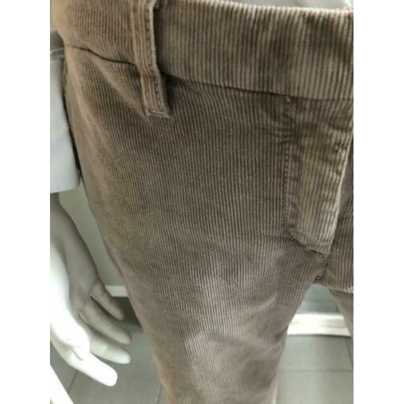 Rib broek November/ Pauw/ maat 40