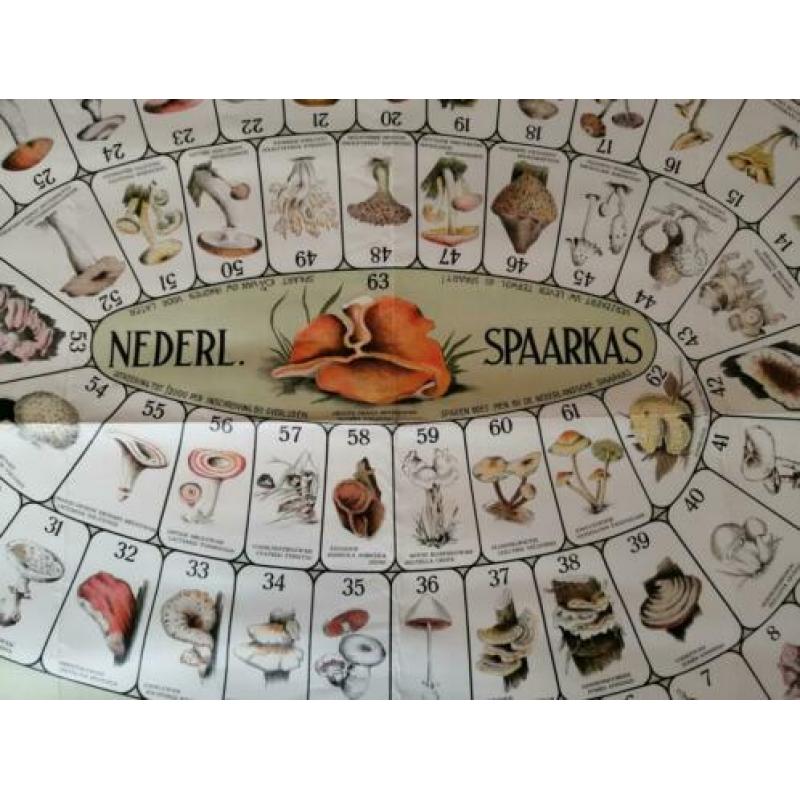 Paddenstoelen spel Nederlandse Spaarkas