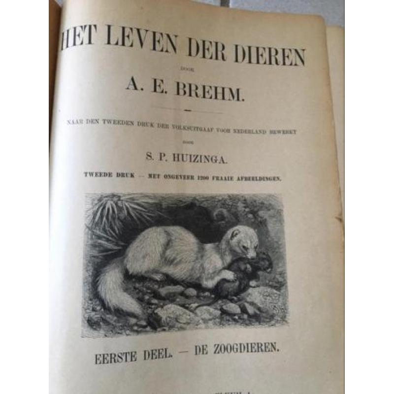 AE.Brehm. HET LEVEN DER DIEREN