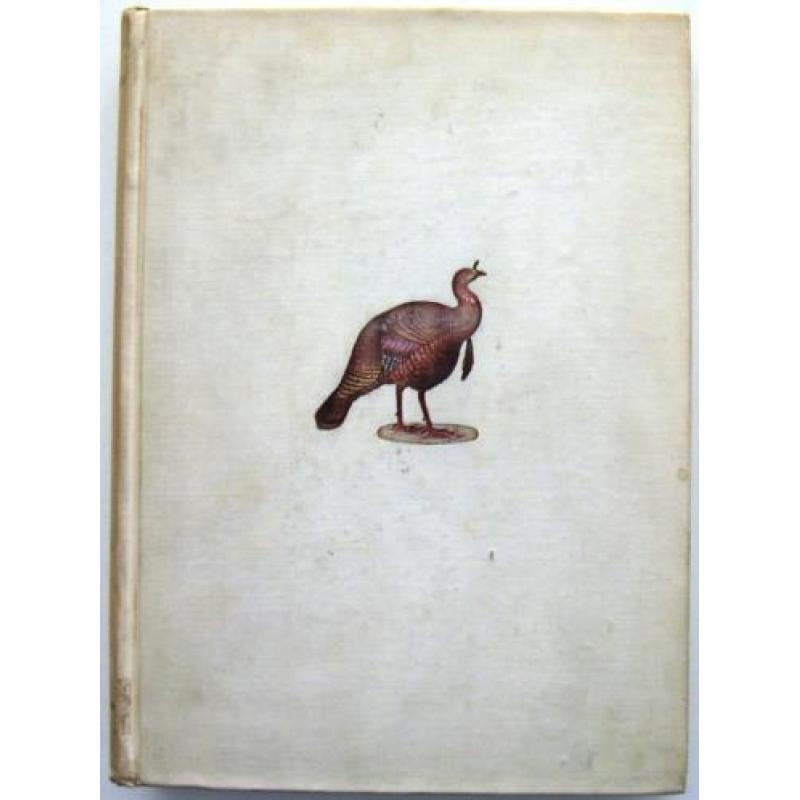 The Gallinaceous Game Birds of North America 1897 Nr. 82/100