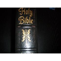 Holy Bible Michelangelo editie