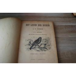 antieke VOGELBOEK 1896 eerste druk