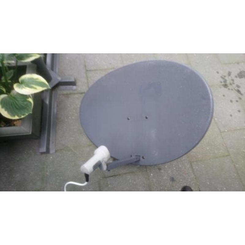 Ovale geperforeerde schotelantenne 75 cm. Au