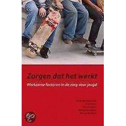 Zorgen dat het werkt 9789088501319