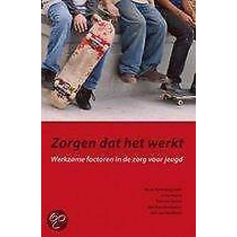 Zorgen dat het werkt 9789088501319